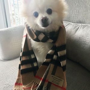 Meet your Posher, Cynthia